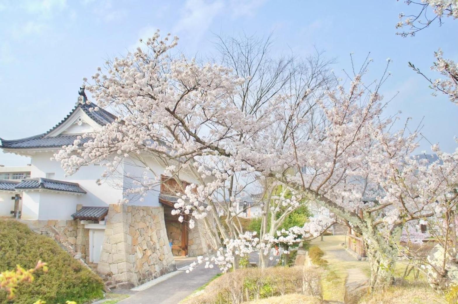 古民家の宿宰嘉庵 Traditionaljapanisehotel Saikaan Maizuru Eksteriør bilde