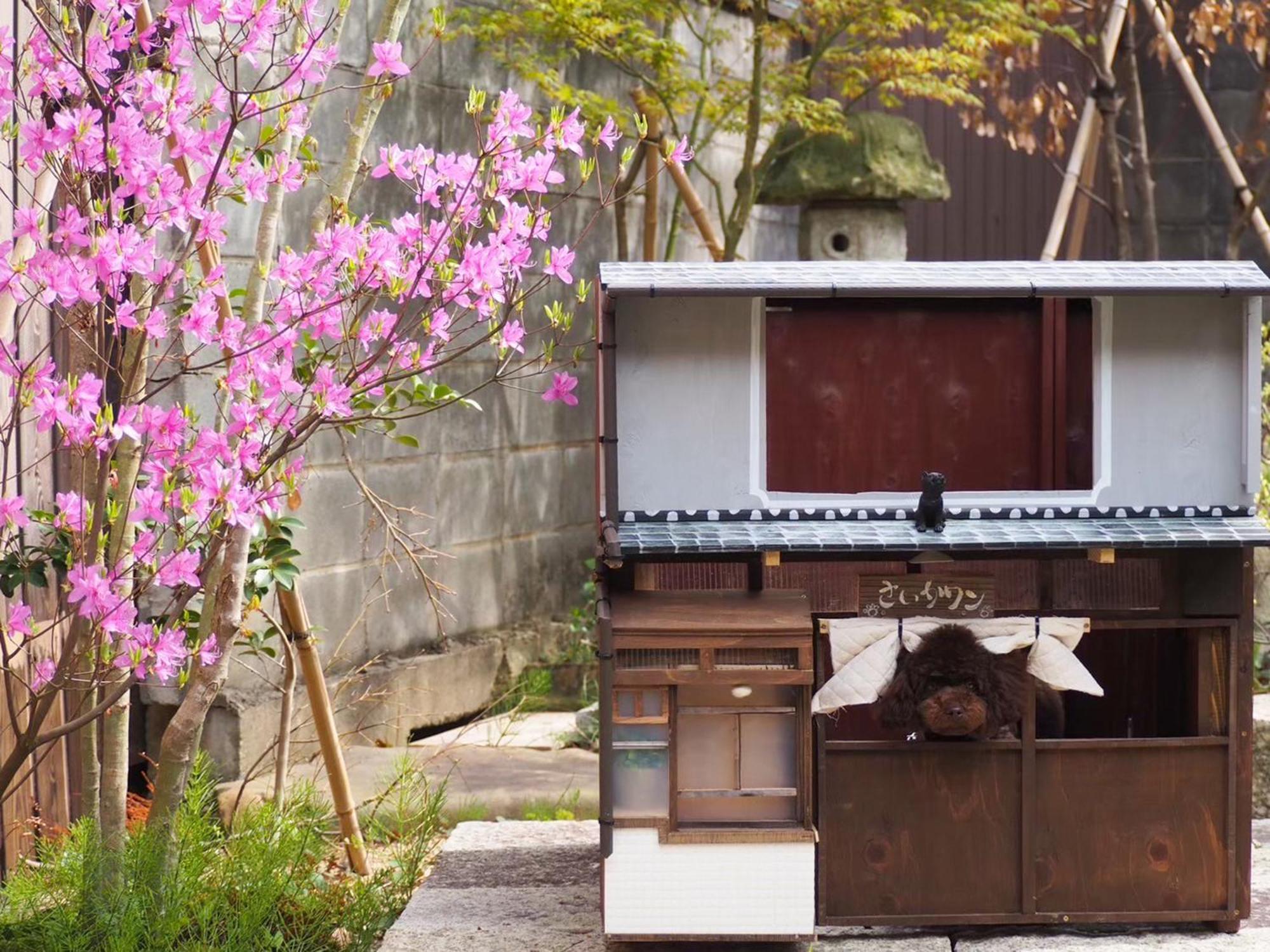 古民家の宿宰嘉庵 Traditionaljapanisehotel Saikaan Maizuru Eksteriør bilde