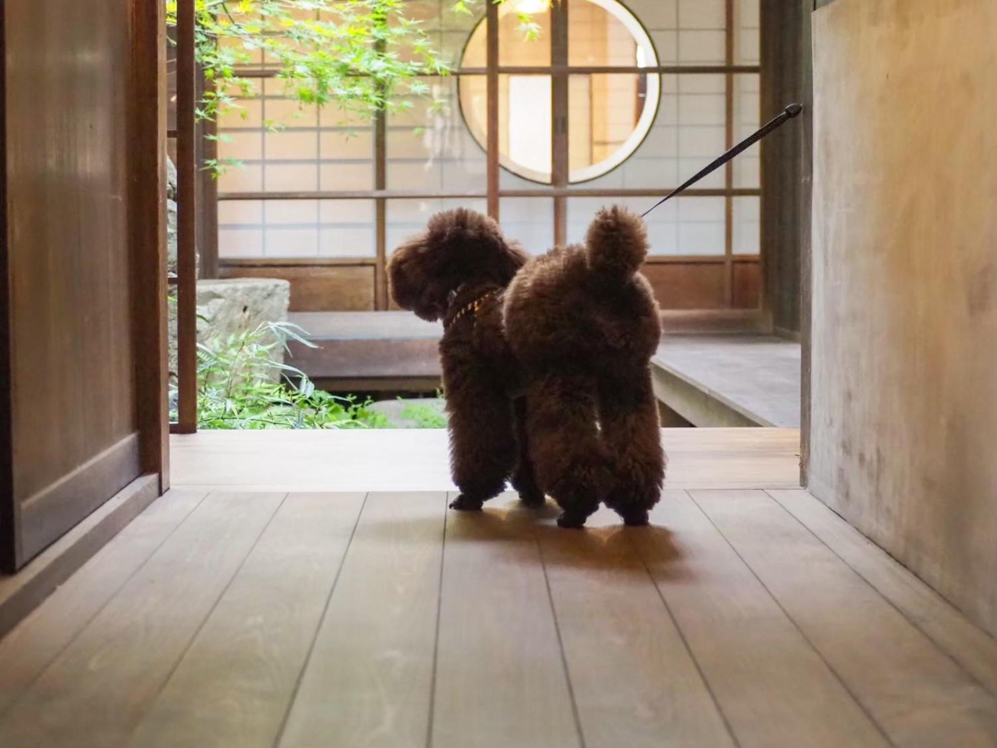 古民家の宿宰嘉庵 Traditionaljapanisehotel Saikaan Maizuru Eksteriør bilde