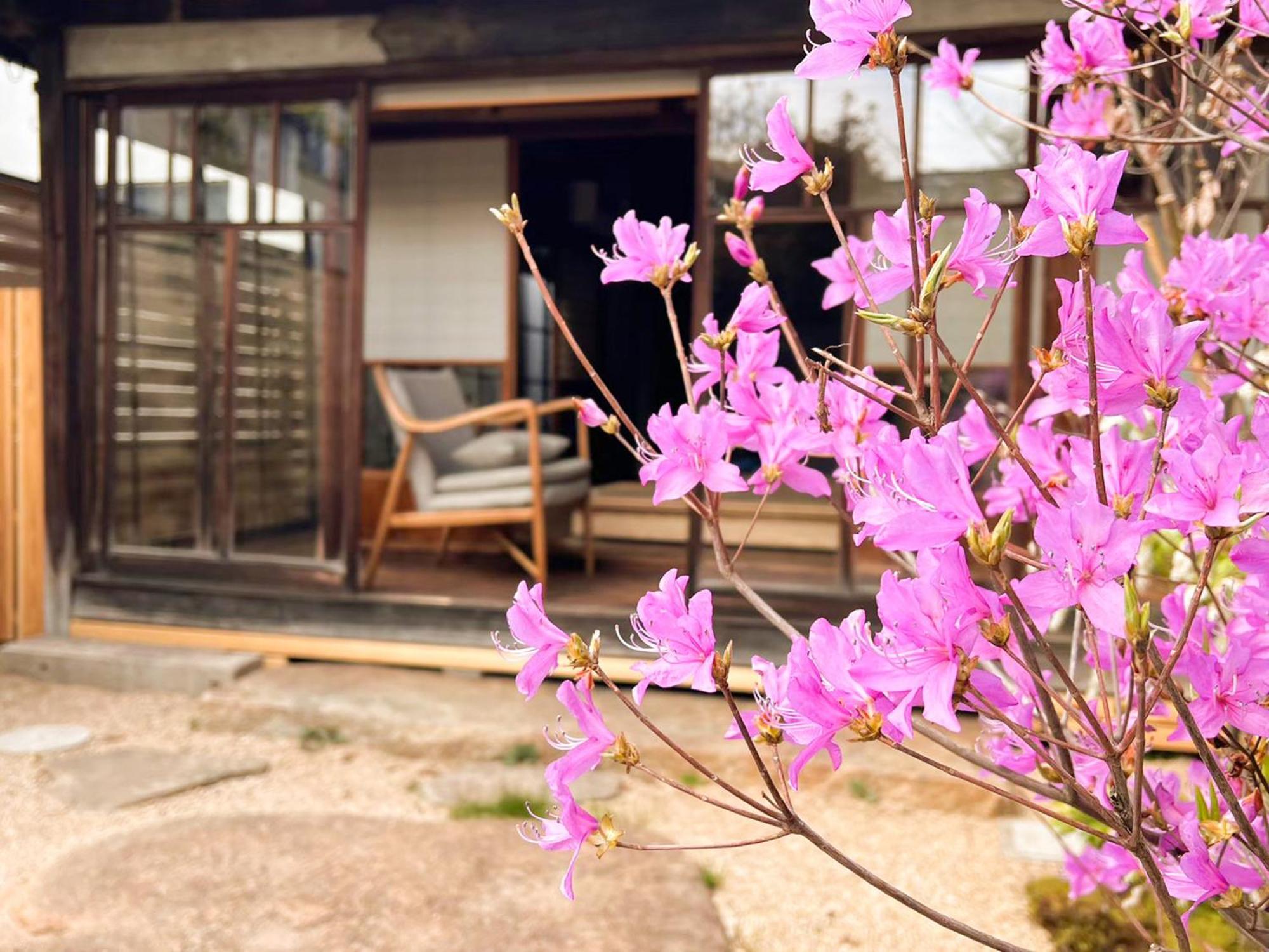 古民家の宿宰嘉庵 Traditionaljapanisehotel Saikaan Maizuru Eksteriør bilde